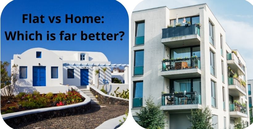 Flat vs Home: Which is far better?