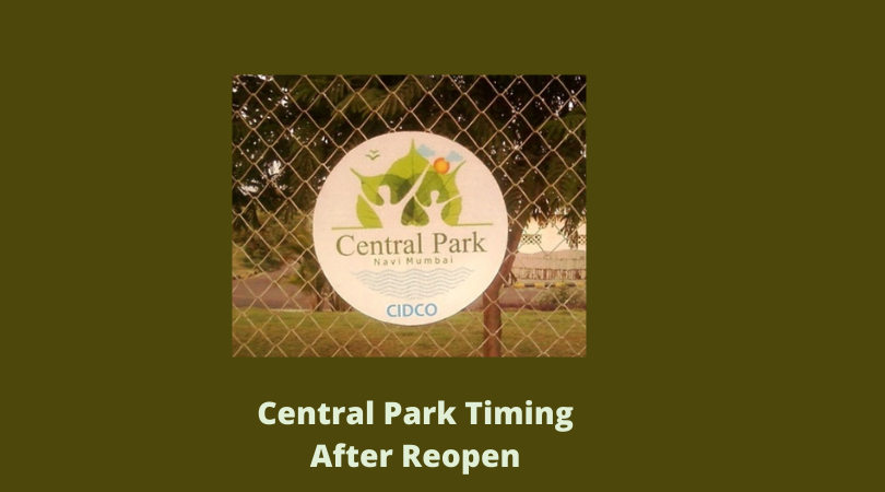 Central Park Time After Reopening