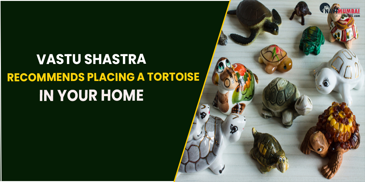 Vastu Shastra Recommends Placing a Tortoise in Your Home