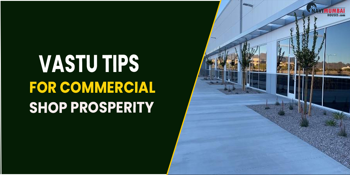 Vastu recommendations for commercial shop prosperity