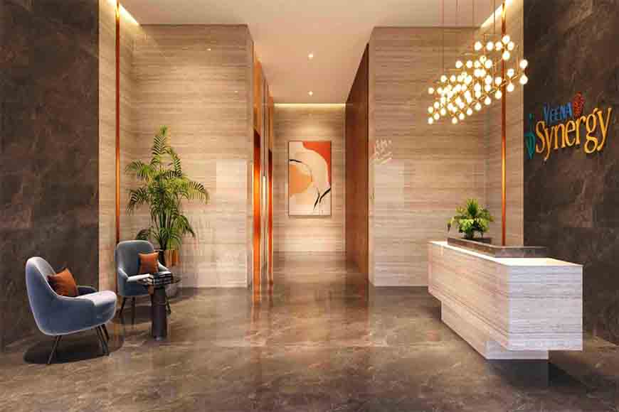 veena synergy gallery